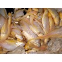 Fresh Golden Anchovy / Mandeli Dressed 500 gms