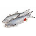 Fresh Indian Salmon / Rawas Steaks (500 gms)