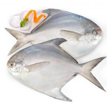 Fresh Silver Pomfret Moon-cut 500 gms (2 pcs)