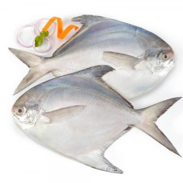 Silver Pomfret Whole (2 piece) (500 gms)