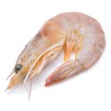 Fresh Prawns Peeled & Deveined (500 Gms)